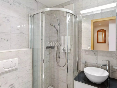 Magnifique appartement avec vue sur les Dents-du-Midi image 10