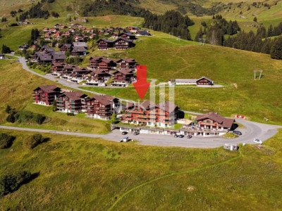 Magnifique appartement avec vue sur les Dents-du-Midi image 11
