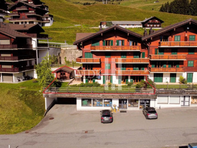 Magnifique appartement avec vue sur les Dents-du-Midi image 12
