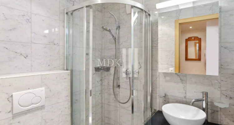 Magnifique appartement avec vue sur les Dents-du-Midi image 10