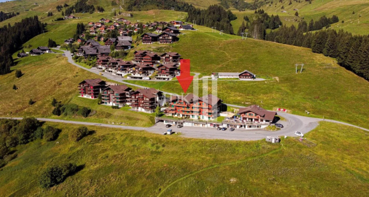 Magnifique appartement avec vue sur les Dents-du-Midi image 11