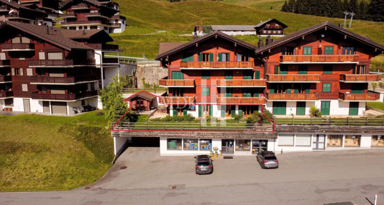 Magnifique appartement avec vue sur les Dents-du-Midi image 12