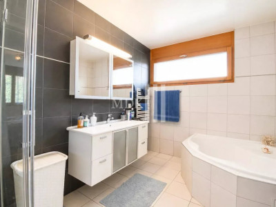 Lumineux appartement avec mezzanine en duplex image 13