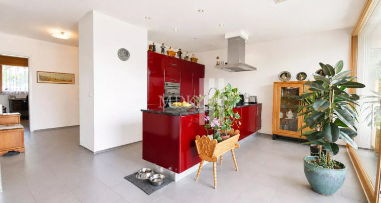 Lumineux appartement avec mezzanine en duplex image 6