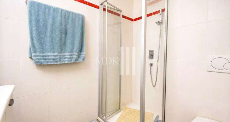 Lumineux appartement avec mezzanine en duplex image 12