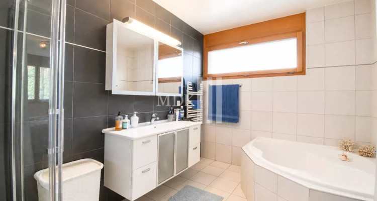 Lumineux appartement avec mezzanine en duplex image 13