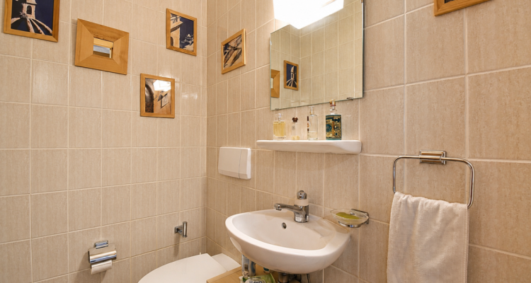 Lot de deux appartements (3.5 + studio) proche du téléphérique image 9