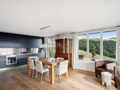 Magnifique appartement Ski in and out image 2