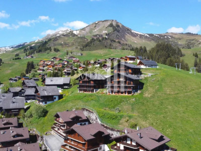 Magnifique appartement Ski in and out image 11