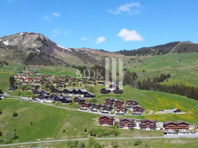 Magnifique appartement Ski in and out image 12