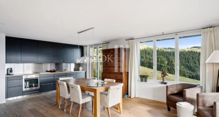 Magnifique appartement Ski in and out image 2
