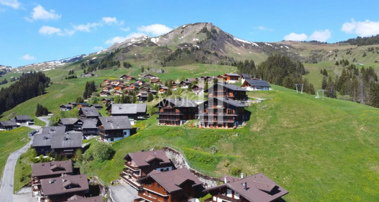 Magnifique appartement Ski in and out image 11