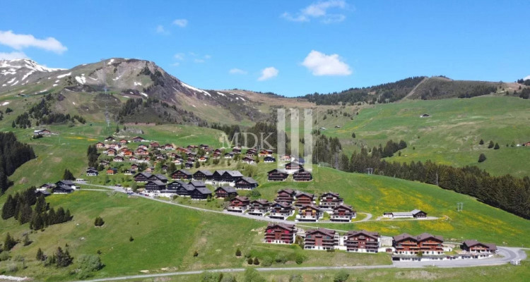 Magnifique appartement Ski in and out image 12