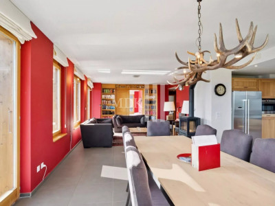 Lumineux appartement : Ski in and out image 2