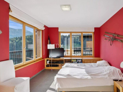 Lumineux appartement : Ski in and out image 8