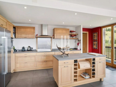 Lumineux appartement : Ski in and out image 9