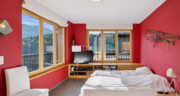 Lumineux appartement : Ski in and out image 8