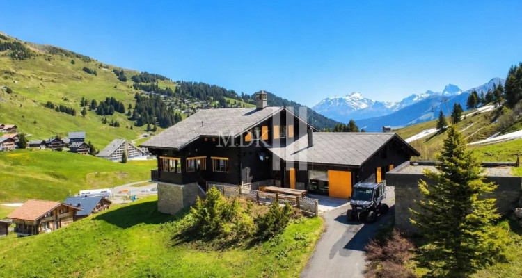 Luxueux chalet sur les pistes de ski ! image 1
