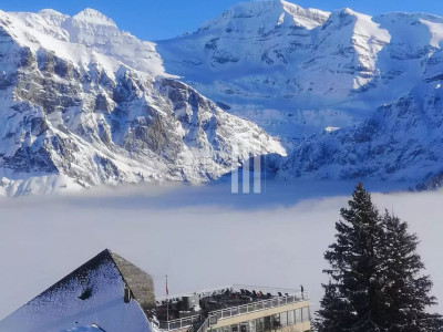 Hôtel 36 chambres sur les pistes des Portes du Soleil image 2