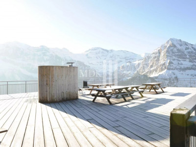 Hôtel 36 chambres sur les pistes des Portes du Soleil image 3