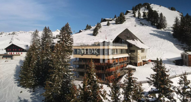 Hôtel 36 chambres sur les pistes des Portes du Soleil image 1