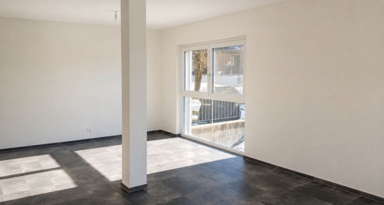 Élégant appartement à Botterens avec vue panoramique image 3