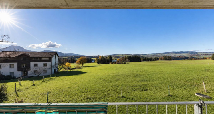 Élégant appartement à Botterens avec vue panoramique image 6