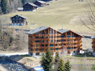 Charmant 3,5 pièces avec jardin à vendre à Val-dIlliez ! image 1