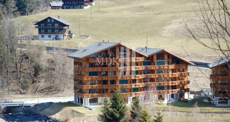 Charmant 3,5 pièces avec jardin à vendre à Val-dIlliez ! image 1