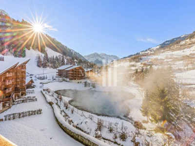 Superbe 2,5 pièces à vendre à Val-dIlliez image 1