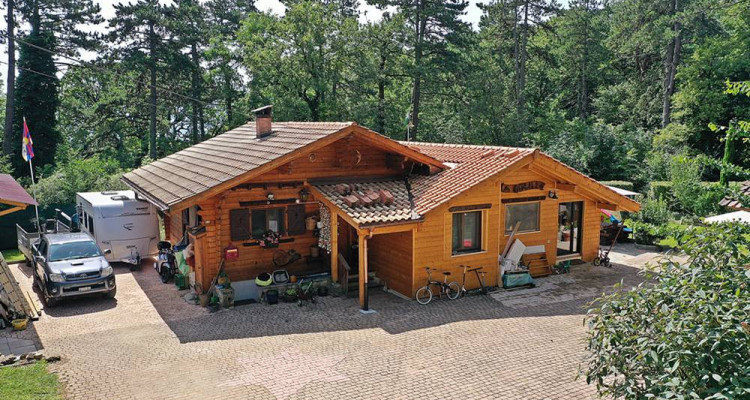 Exclusivité - Chalet de charme à Trélex vue lac & Alpes, à 5 minutes de Nyon image 1