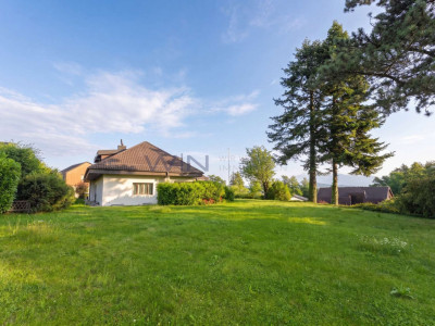 Wo Visionen wachsen - Villa mit Bau-Reserve image 5