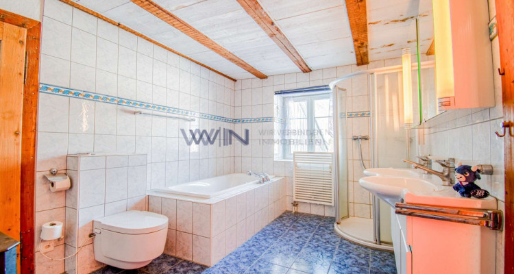 Rares und grosses Zweifamilienhaus - mit Gewerbe und Garagen image 9