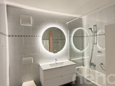 Appartement spacieux, lumineux et vue apprenable sur le lac ! image 7