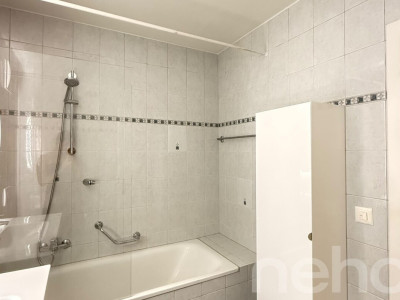 Appartement spacieux, lumineux et vue apprenable sur le lac ! image 8