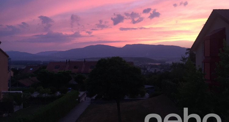 Appartement spacieux, lumineux et vue apprenable sur le lac ! image 11