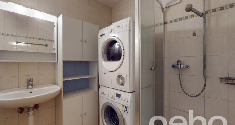 Appartement spacieux, lumineux et vue apprenable sur le lac ! image 12