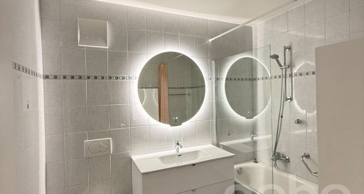 Appartement spacieux, lumineux et vue apprenable sur le lac ! image 7