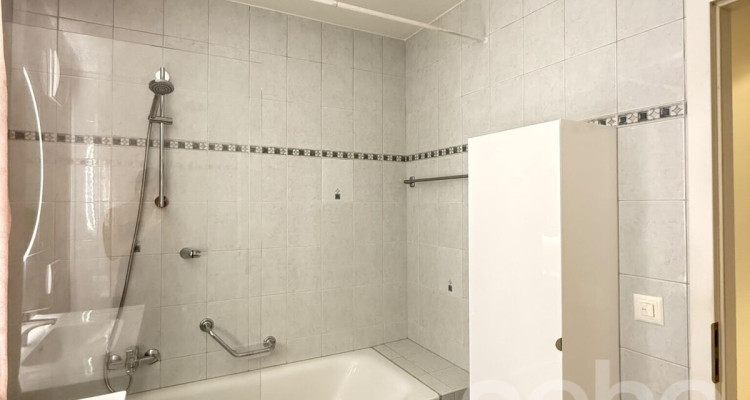 Appartement spacieux, lumineux et vue apprenable sur le lac ! image 8