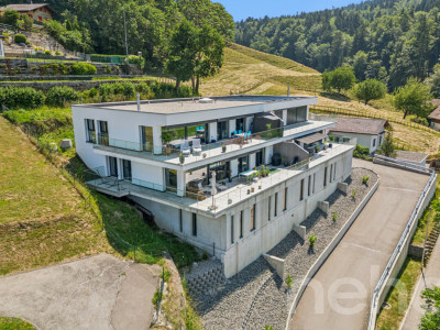 Wohnen mit Aussicht - stilvolle Terrassenwohnung in Plasselb image 2
