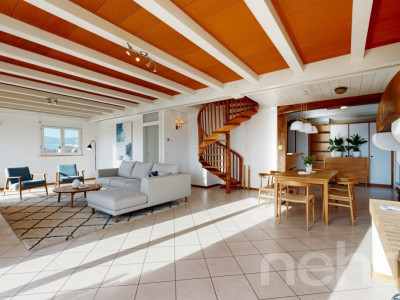 Spacieux et lumineux duplex en attique avec vue dégagée image 4