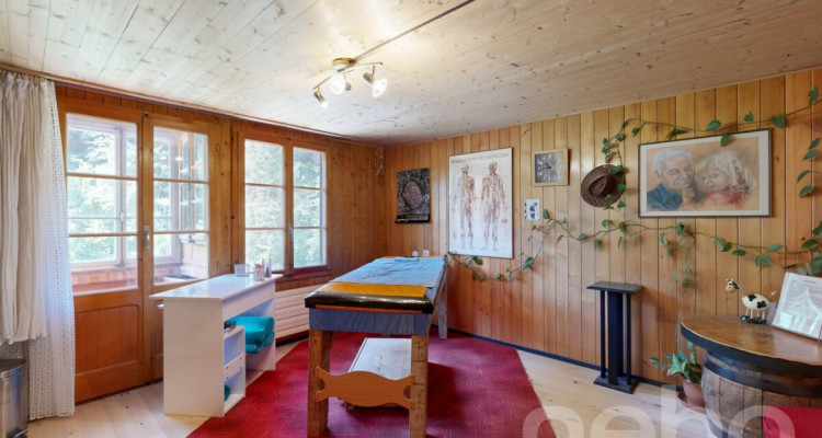Un chalet plein de charme dans un écrin de verdure image 10