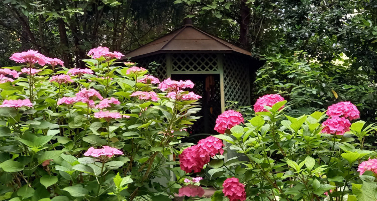 Perfekte Lage in Hottingen image 2