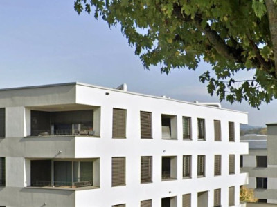 🏡 Superbe studio de 50 m²  image 3