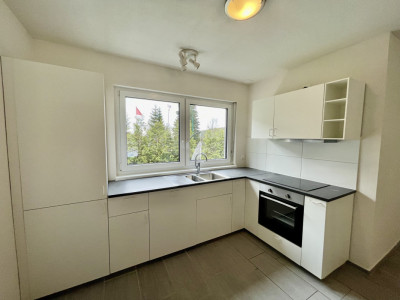 Villa à Saint-Cergue - Rare opportunité en Suisse pour acheteurs internationaux  image 4