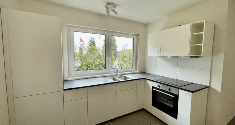 Villa à Saint-Cergue - Rare opportunité en Suisse pour acheteurs internationaux  image 4