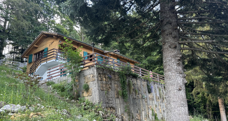 LOasis à deux pas du village, chalet rénové 4,5 pièces   image 1