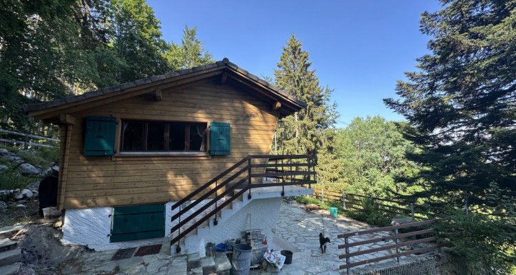 LOasis à deux pas du village, chalet rénové 4,5 pièces   image 2