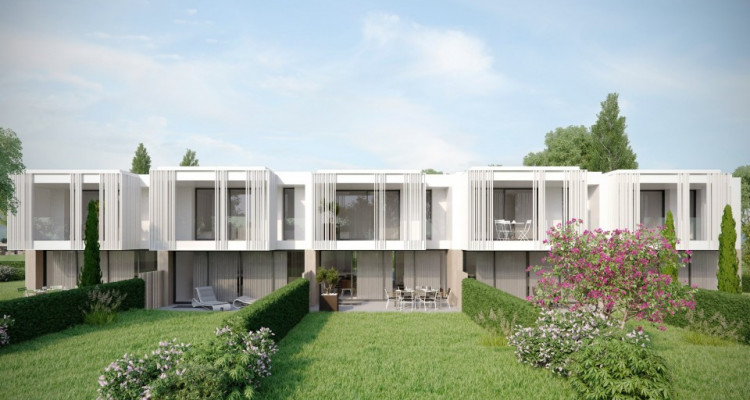 Magnifique promotion de 5 villas à Onex image 4