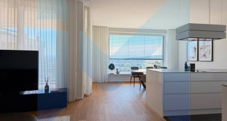 AUSSERGEWÖHNLICHES PENTHOUSE — Oberstes Stockwerk image 2
